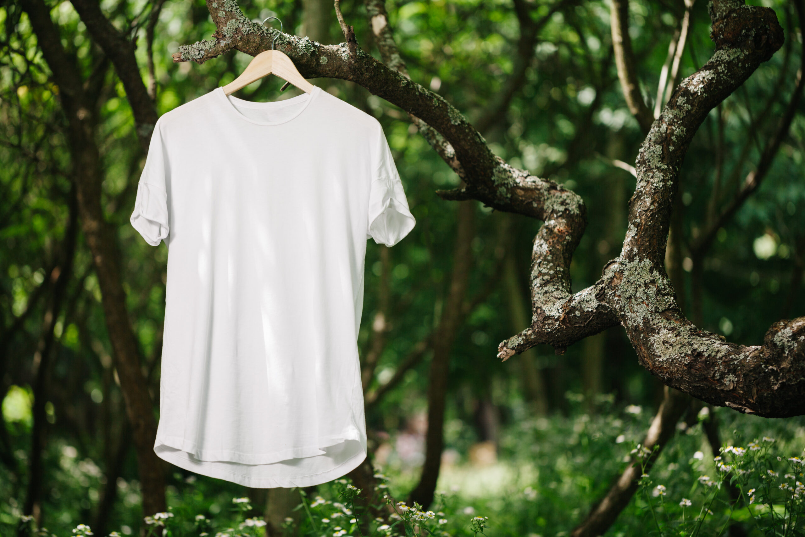 eco friendly t-shirt brands
